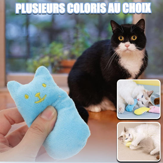 Jouet pour chat joueavec bleu