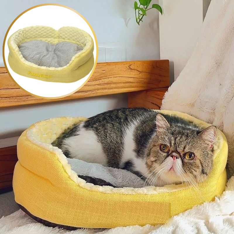 coussin à chat