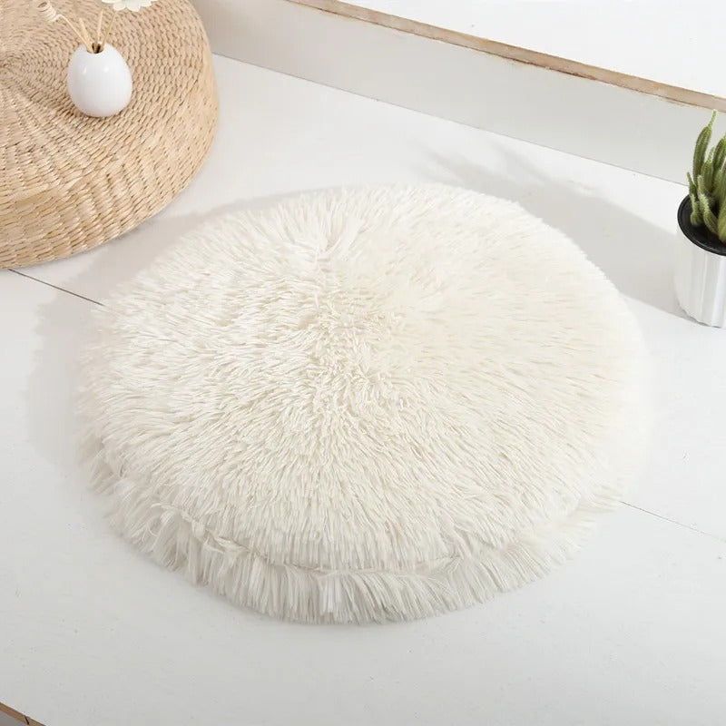 coussin à chat blanc