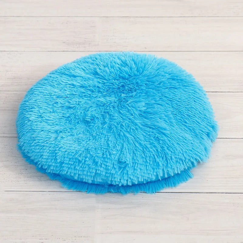 coussin à chat bleu