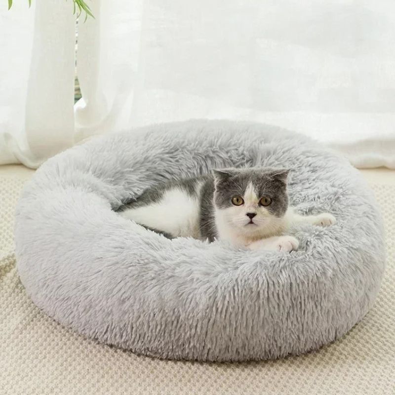 coussin pour chat gris clair