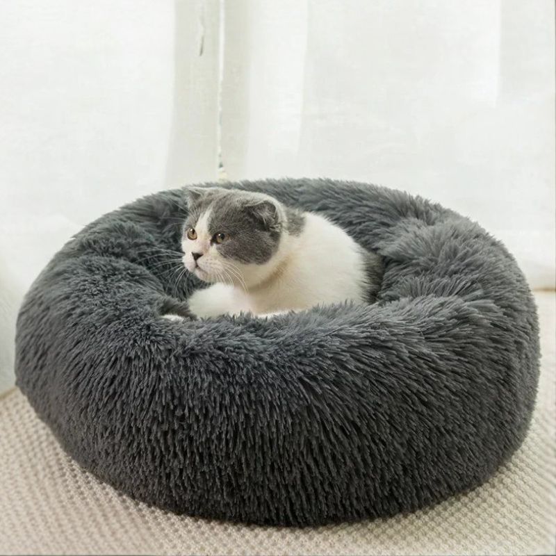 coussin pour chat gris foncé