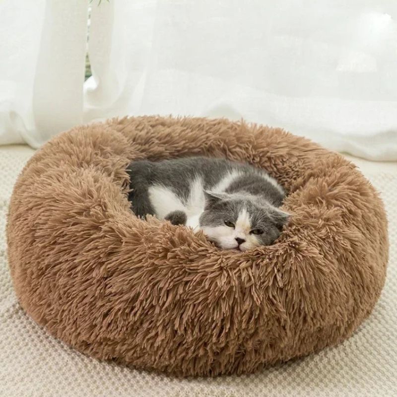 coussin pour chat khaki