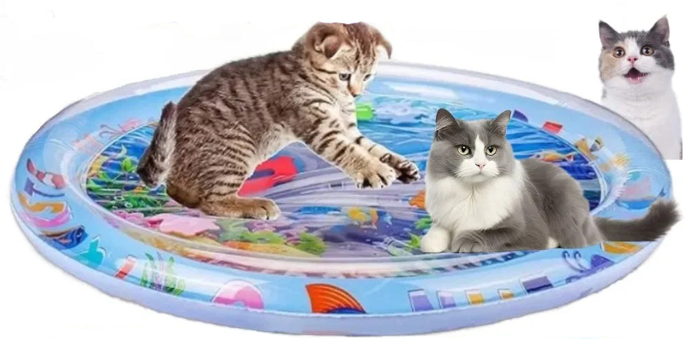 jeu pour chat felin et tapis