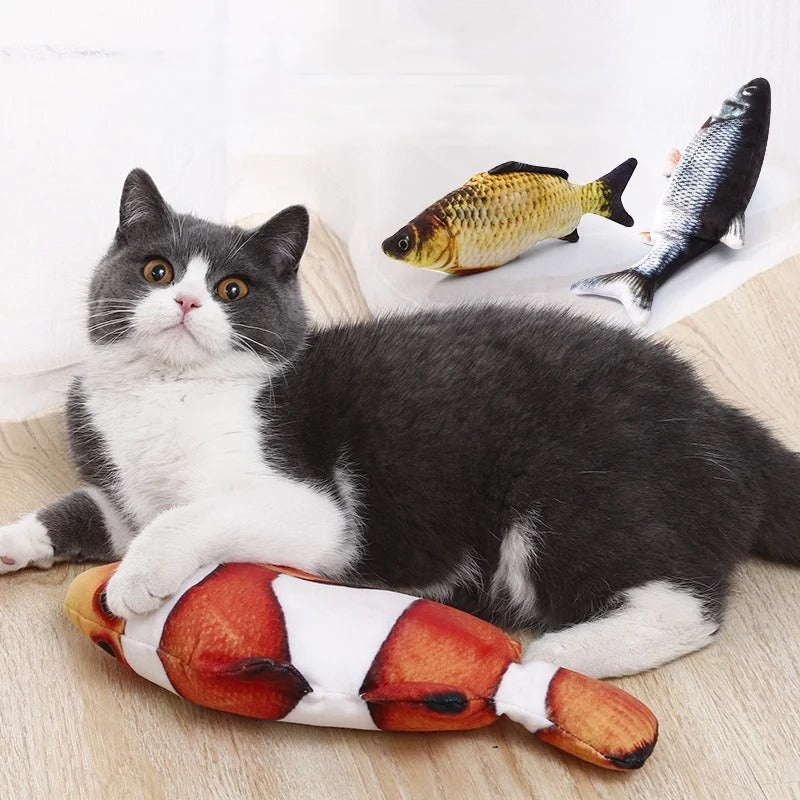 jeu pour chat felin joue avec poisson