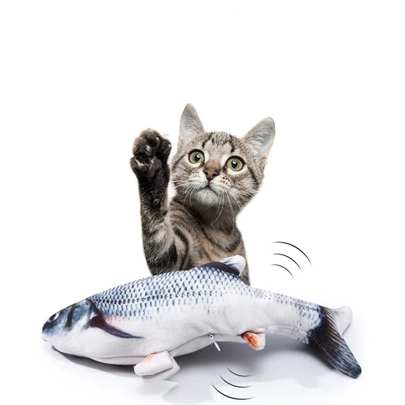 jeu pour chat poisson et felin