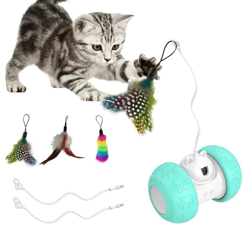 jeu pour chat style bleu