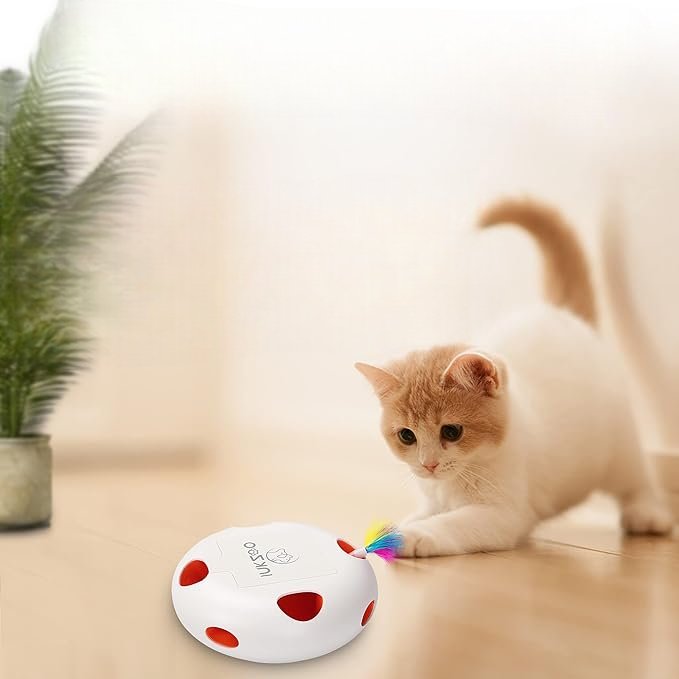 Jeux Chat - PlumeMagique™ - Blanc - Griffes & Ronrons