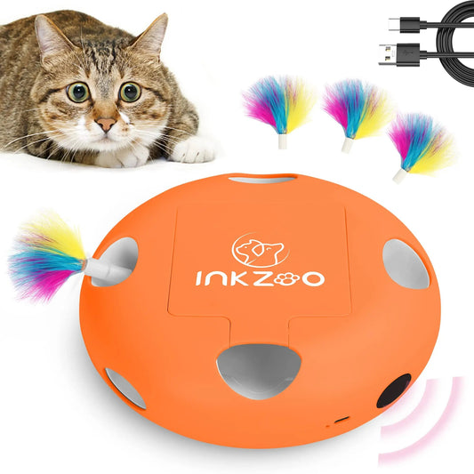 Jeux Chat - PlumeMagique™ - Orange - Griffes & Ronrons