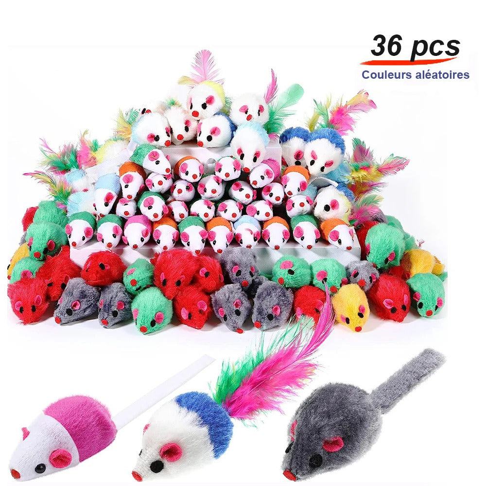 jeux pour chat 36pcs a