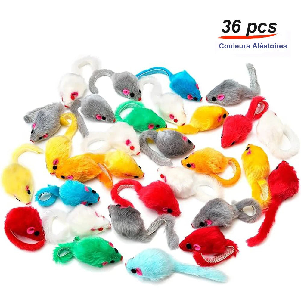 jeux pour chat 36pcs d