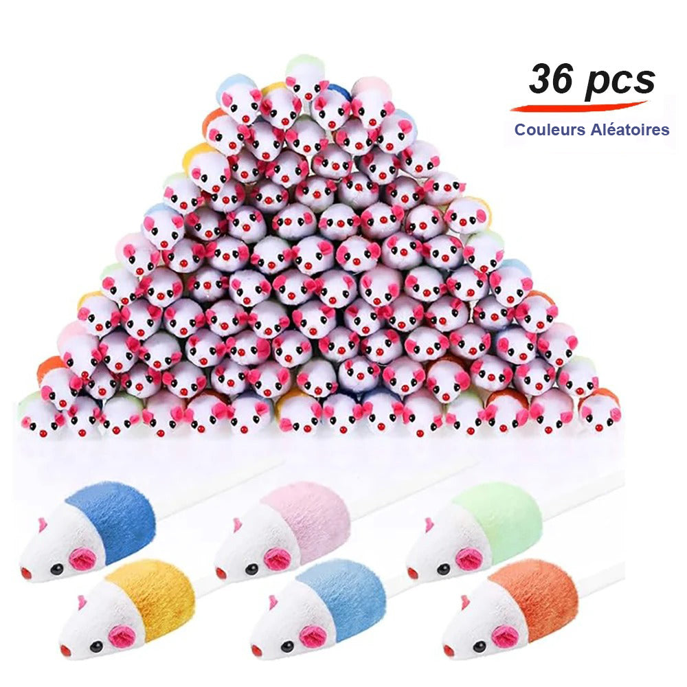 jeux pour chat 36pcs e