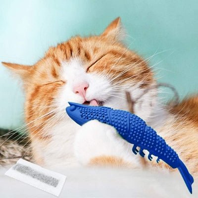 jouet interactif chat - CatnipToys™ - Bleu - Griffes & Ronrons