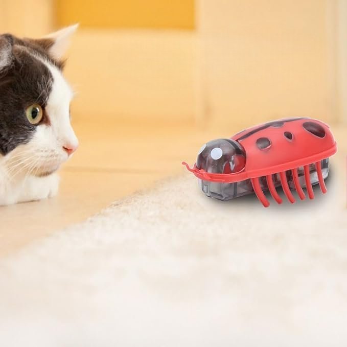 Jouet pour Chat - MiniInsecteToy™ - Coccinelles - Griffes & Ronrons