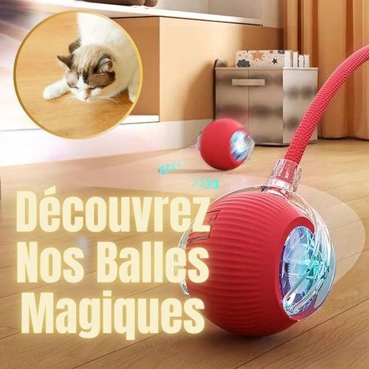 jouet interactif pour chat