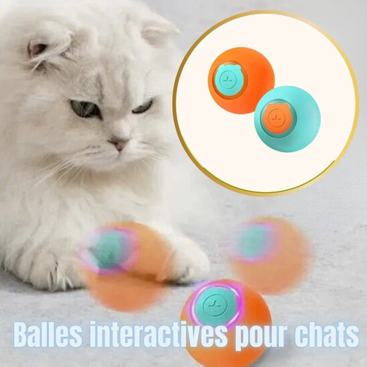 jouet pour chat balles interactives