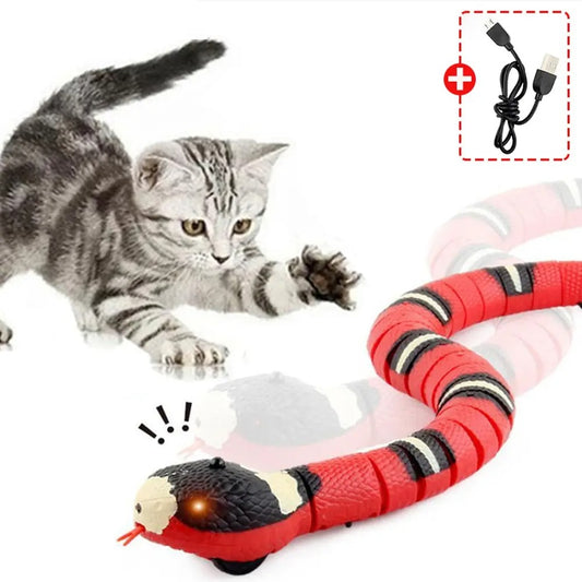 jouet pour chat serpent avec detection Intelligent