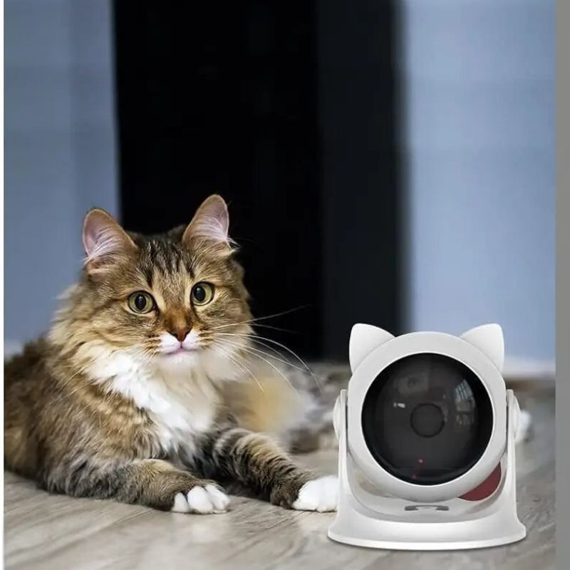 laser pour chat facile a installer