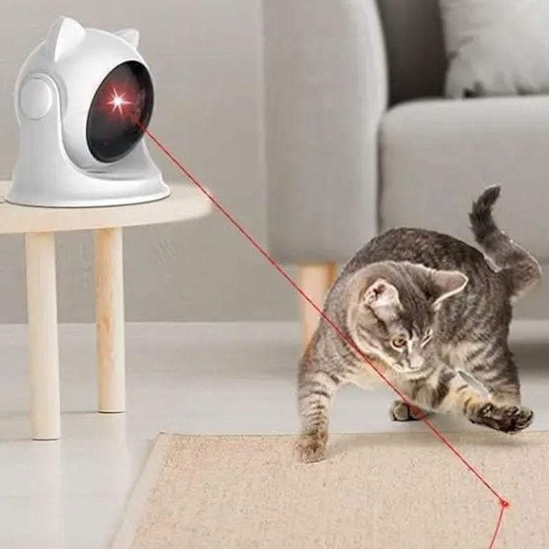 laser pour chat jouet interactif en action