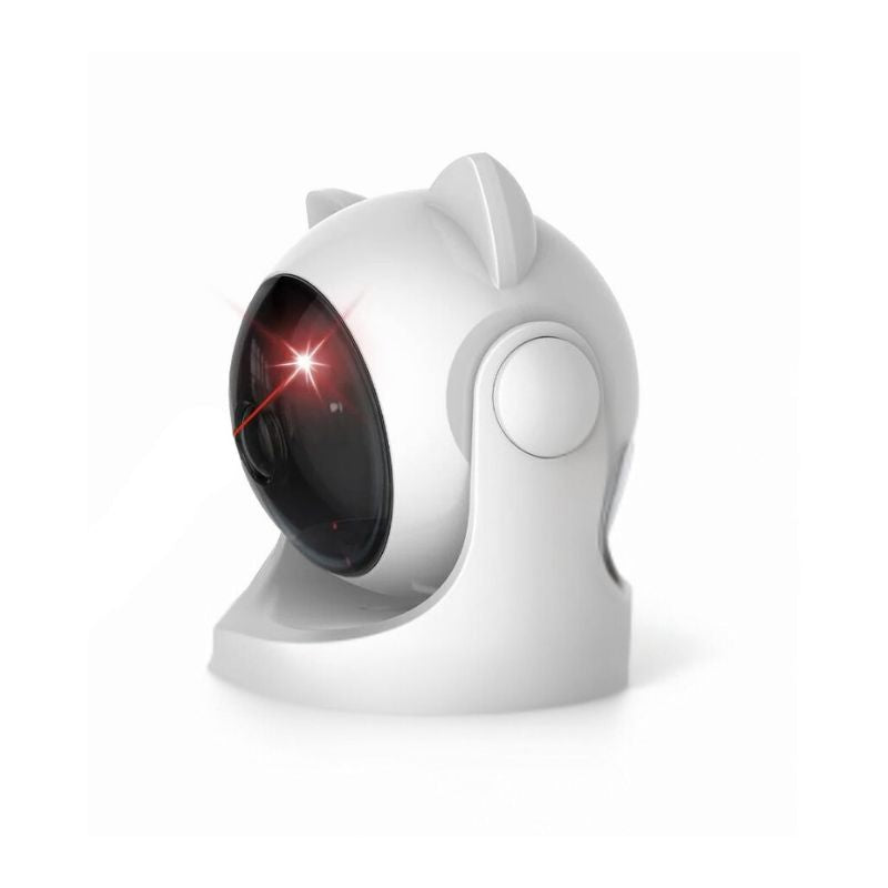 laser pour chat jouet interactif variante