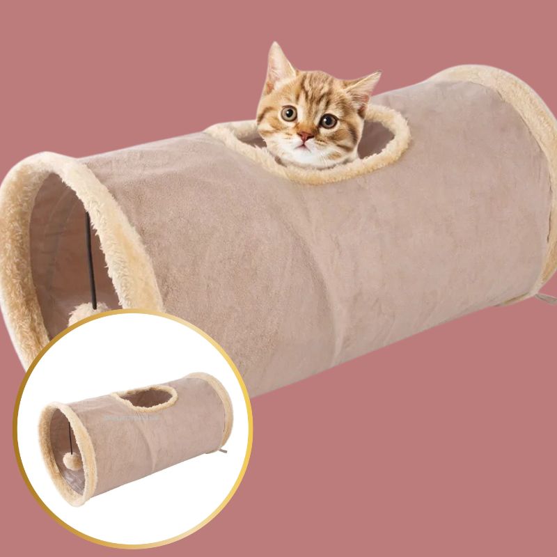 tunnel pour chat en action beige