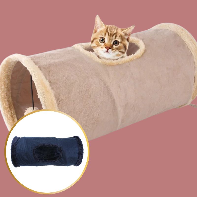 tunnel pour chat en action bleu